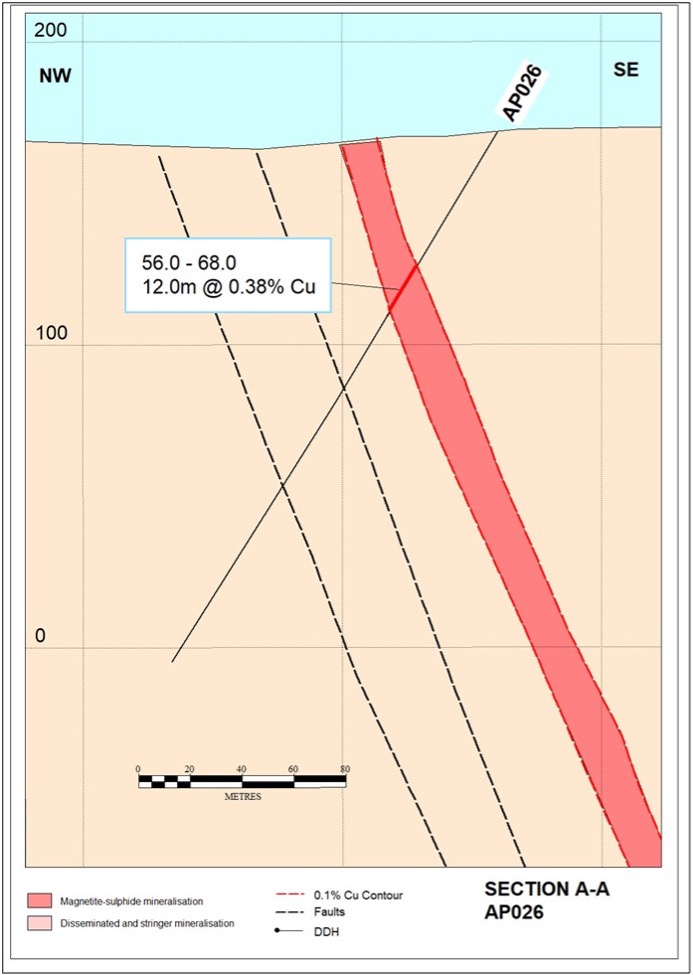 Drill section (looking northeast) showing results from AP026 at the Stellar zone, Alpine prospect.  Significant intervals are reported as downhole lengths.